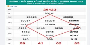 Soi cầu quả trám cần chú gì điều gì?